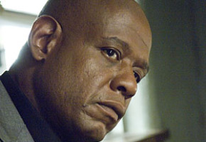 Forest Whitaker for Criminal Minds spin-off | TV Tonight